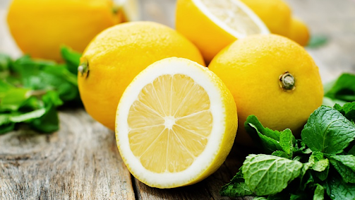 Кооперации по выращиванию лимонов начнут субсидировать