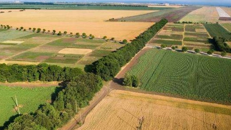Сведения о свободных землях сельхозназначения – в открытом доступе