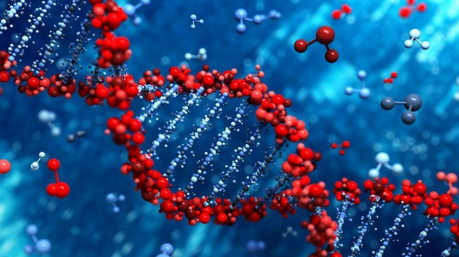 Что такое геномная регистрация и зачем она нужна