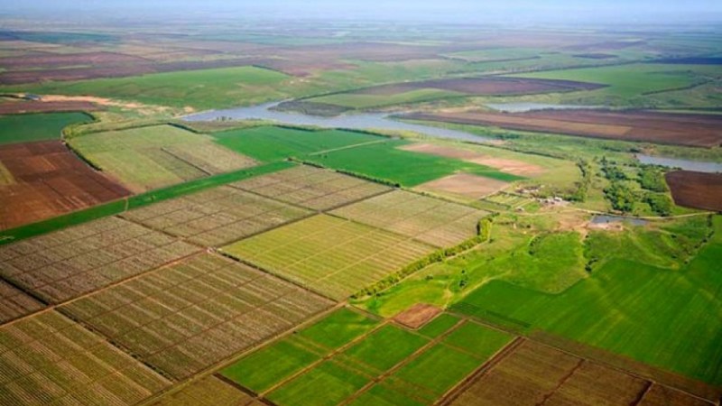 Утверждены правила аренды и субаренды земли для сельского хозяйства