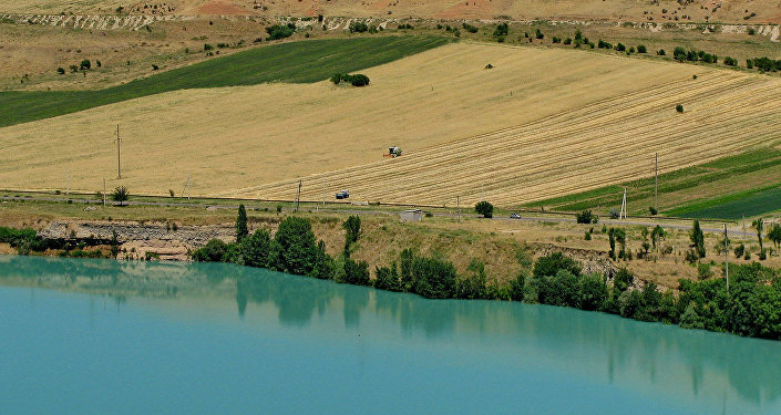 Как поддержат сельское и водное хозяйство Кашкадарьинской области