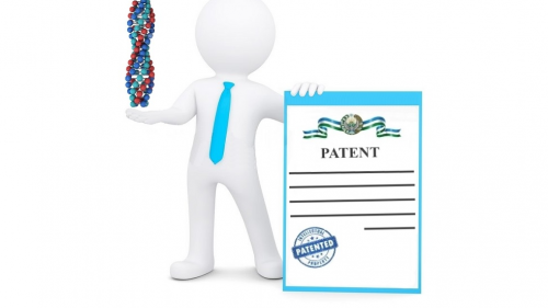 Как проходят переподготовку и повышают квалификацию патентные поверенные