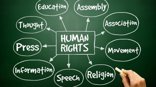 Основы прав человека – в интерактивной форме