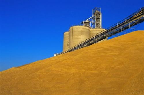 Предприятиям по хранению зерна установили новые нормы