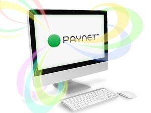 Может ли индивидуальный предприниматель оказывать услуги Paynet?