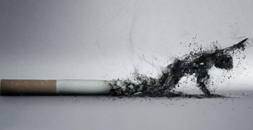 Чего и сколько должно содержаться в сигаретах