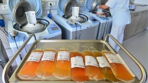 Определен порядок производства лекарств из плазмы донорской крови