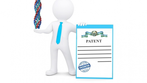 Patent vakillari qanday tartibda qayta tayyorgarlikdan oʻtadilar va malaka oshiradilar Patent vakillari qanday tartibda qayta tayyorgarlikdan oʻtadilar va malaka oshiradilar