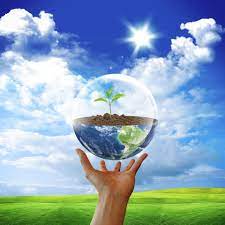 Formiruyetsya novaya sistema upravleniya zashchitoy okrujayushchey sredi