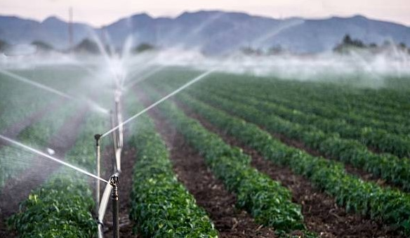 Chto menyayetsya dlya agrosektora po novomu № PP-47 o povishenii effektivnosti ispolzovaniya vodniх resursov