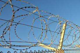 Читающим книги осужденным могут сократить срок наказания 