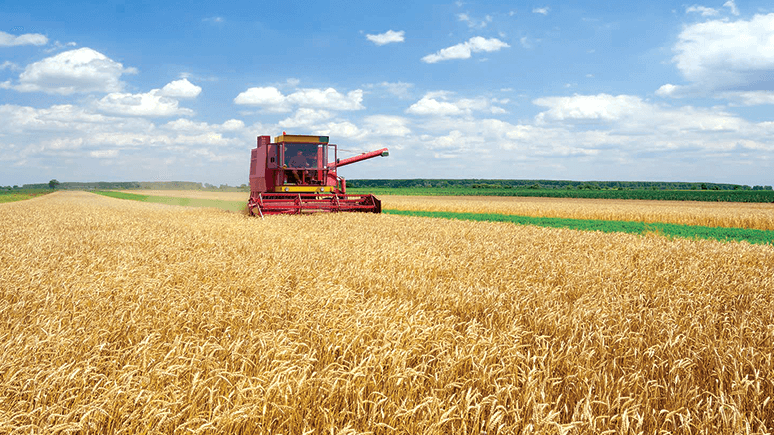 Как определяется урожайность зерновых, влияющая на закупочную цену