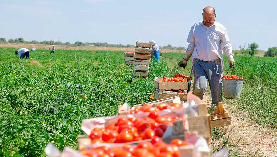 Pravo na pojiznennoye vladeniye zemley deхkanami planiruyut otmenit Pravo na pojiznennoye vladeniye zemley deхkanami planiruyut otmenit