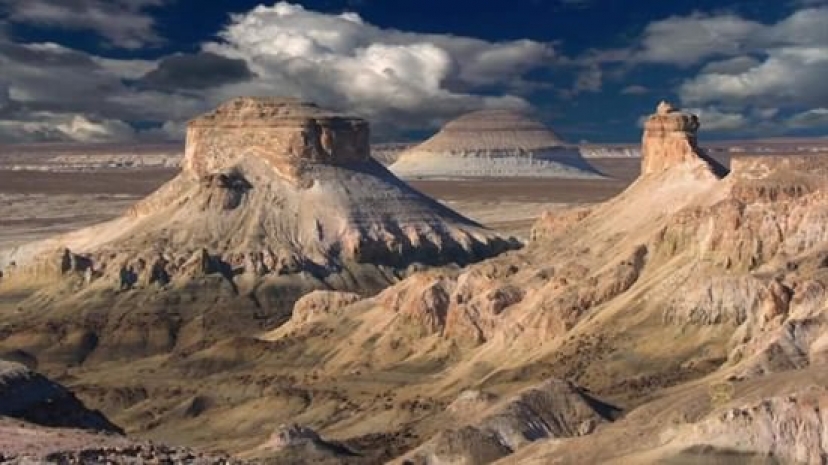 V Karakalpakstane budet prirodniy park «Yujniy Ustyurt» V Karakalpakstane budet prirodniy park «Yujniy Ustyurt»