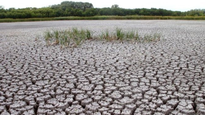 Создадут полезащитные и водоохранные лесные насаждения