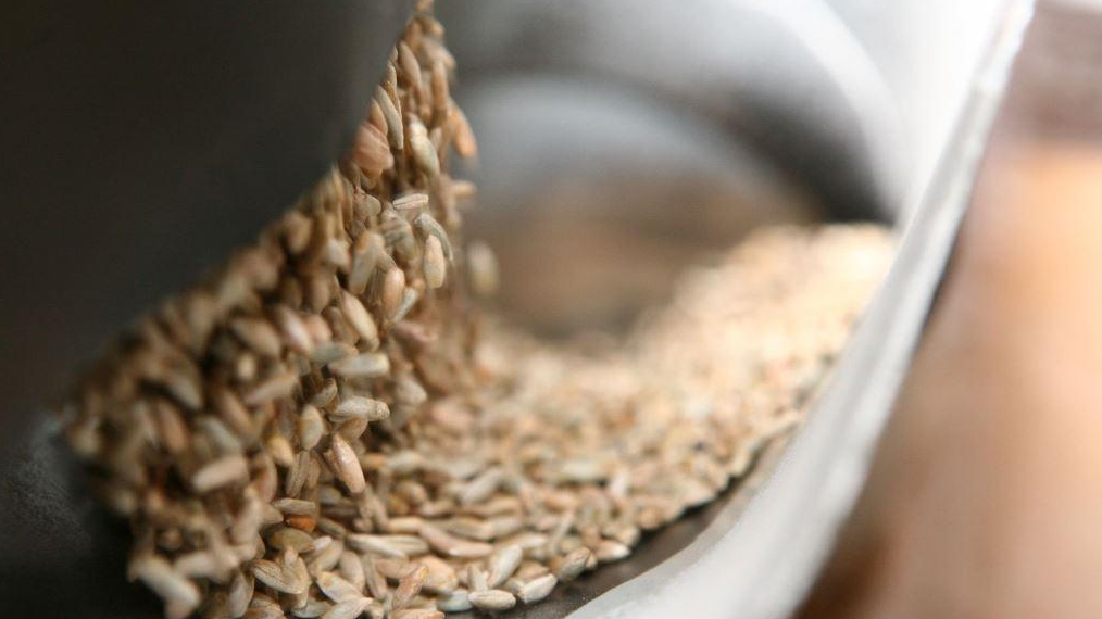 Как происхождение зерна влияет на льготу по НДС