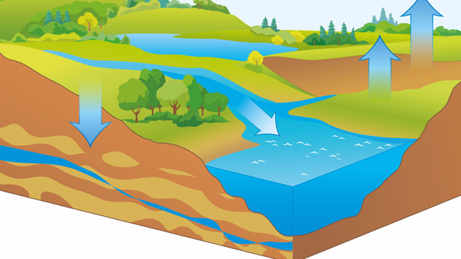 Потребителей обяжут рационально использовать водные ресурсы 