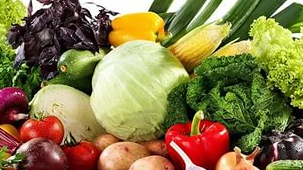 Экспортировать плодоовощную продукцию разрешат напрямую Экспортировать плодоовощную продукцию разрешат напрямую