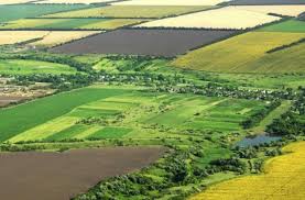 Қишлоқ хўжалиги ерларини иккиламчи ижарага бериш рақамлаштирилди