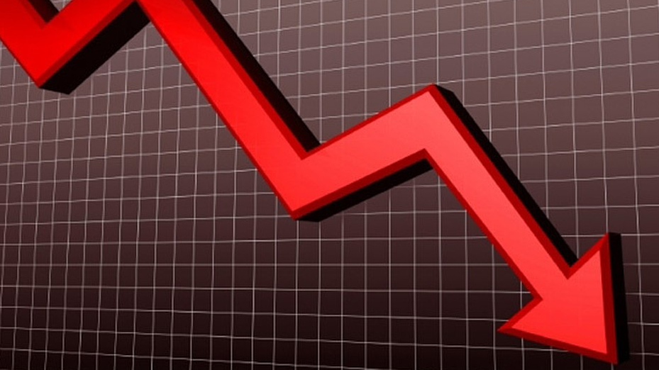 Почти 45% ставок импортных пошлин предлагается снизить Почти 45% ставок импортных пошлин предлагается снизить