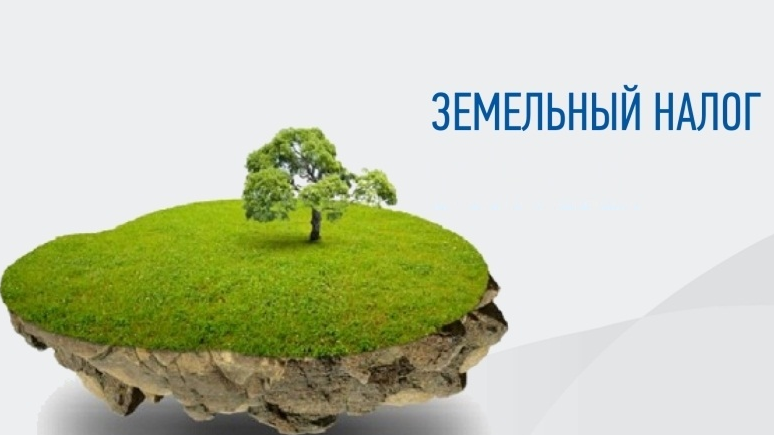 Площадь земельного участка отражается в отчете