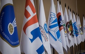 Спортивные федерации и ассоциации будут в одном реестре Спортивные федерации и ассоциации будут в одном реестре
