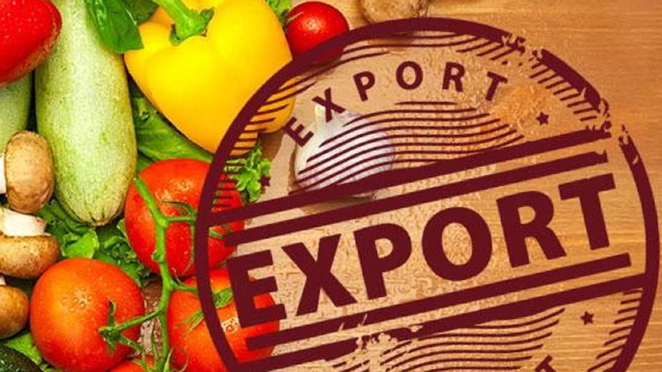 Как организовать эффективную систему экспорта сельхозпродукции