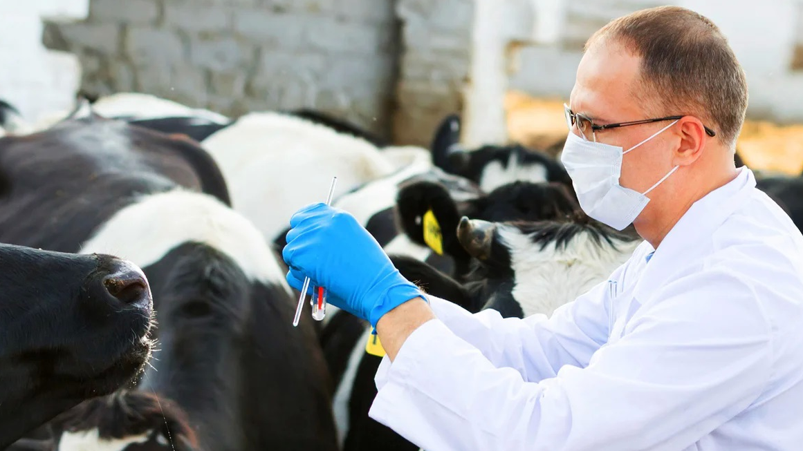 Gde obuchat na veterinara i jivotnovoda Gde obuchat na veterinara i jivotnovoda