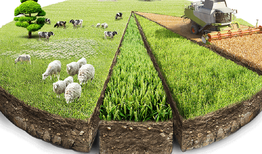 Внедряется новая система финансовой поддержки аграрной сферы