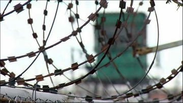 Utverjden poryadok pomilovaniya Prezidentom Utverjden poryadok pomilovaniya Prezidentom