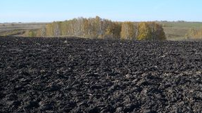 Подъем зяби будут контролировать правоохранительные органы Подъем зяби будут контролировать правоохранительные органы