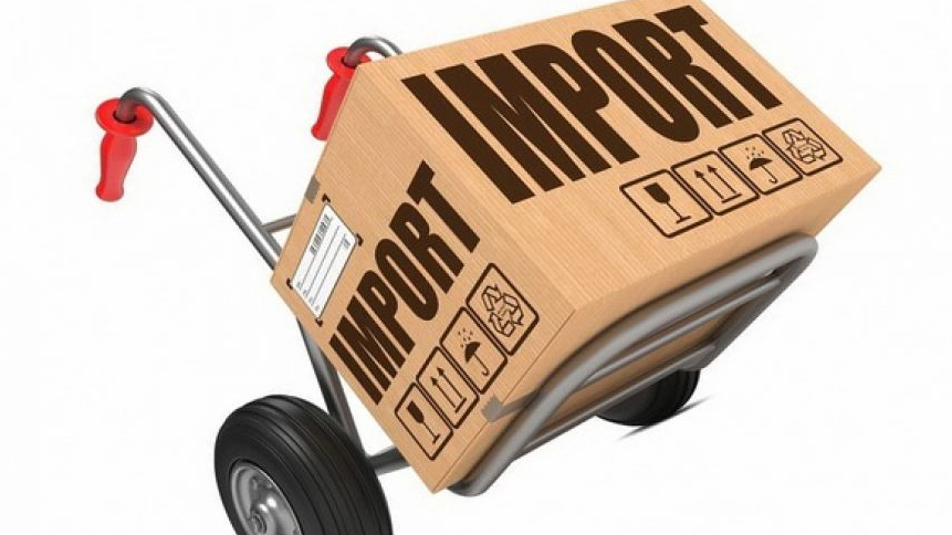 Как проводится мониторинг движения импортируемых товаров