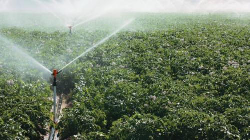 Kozdan kechirish va voyeur porno