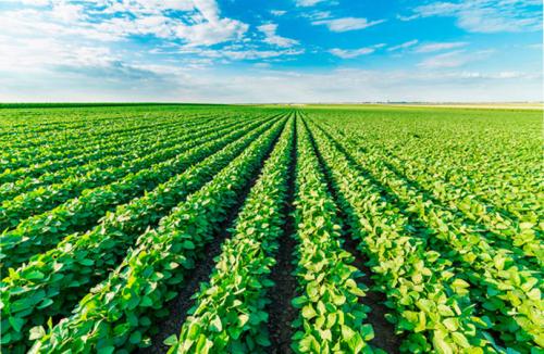 Onlayn porno video: Bir dostim erini mast qildi