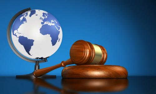 Организации юридических консультантов смогут консультировать по международному праву