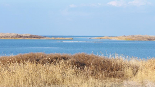Cовершенствуется управление Айдар-Арнасайской системой озер