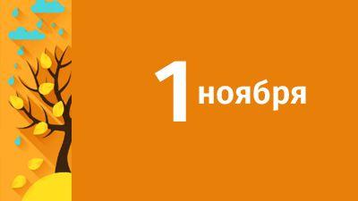 Что изменится с 1 ноября Что изменится с 1 ноября