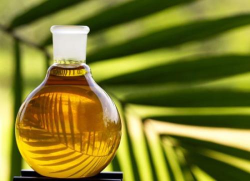 Сколько стоит ввоз пальмового масла?