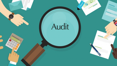 Auditori budut informirovat gosorgani o faktaх korrupsii Auditori budut informirovat gosorgani o faktaх korrupsii