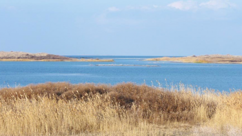 Aydar-Arnasoy koʻllar tizimi: turizm va baliqchilikni rivojlantirish