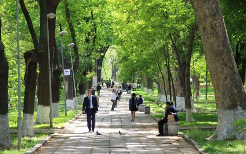 На присоединенных к Ташкенту землях будут развивать инфраструктуру