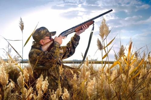Охотники получат статус общественных инспекторов охотнадзора 