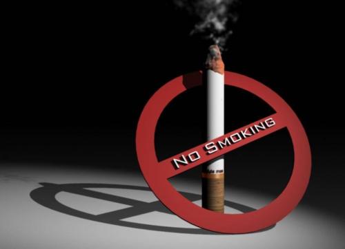 Установлен перечень мест, где запрещено употребление табачной продукции