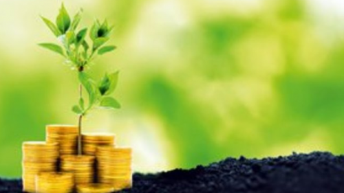 За сельхозпродукцию государство платит заранее