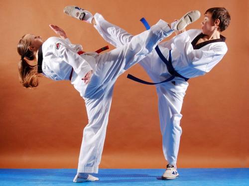 Taekvondo akademiyasining asosiy vazifalari belgilandi
