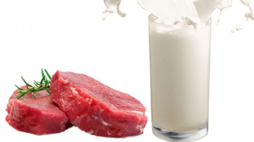 Мясо и молоко – без перебоев и по устойчивым ценам