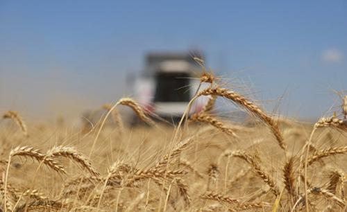 Создан международный центр в сфере продовольствия и сельского хозяйства