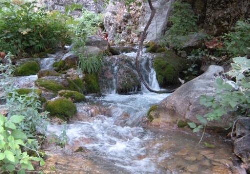 Kitob geologiya bogʻiga yer uchastkasi ajratiladi