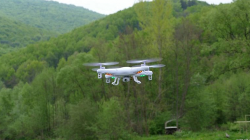 Мониторинг лесов – с помощью дронов