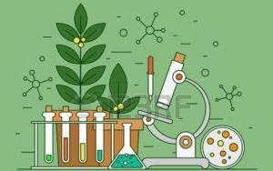 Obuchat хimii i biologii budut po novoy sisteme Obuchat хimii i biologii budut po novoy sisteme